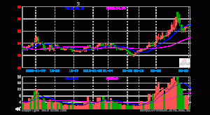天下球版2019年虧損-球版代理